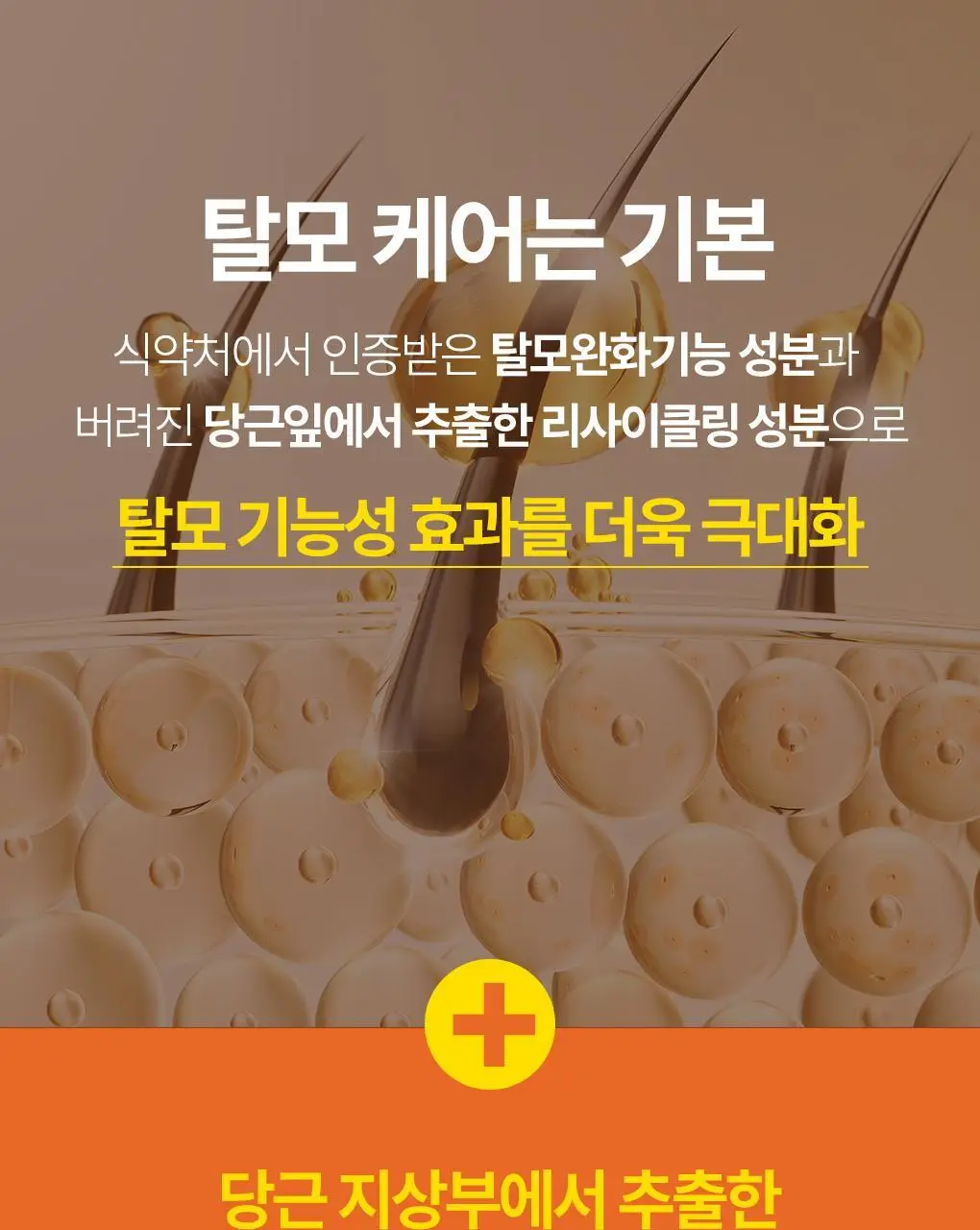 [손상모발영양] 트리셀 데이 콜라겐 샴푸 모닝 오브 리조트 리필 기획(360ml+360ml 리필) 상세페이지 11